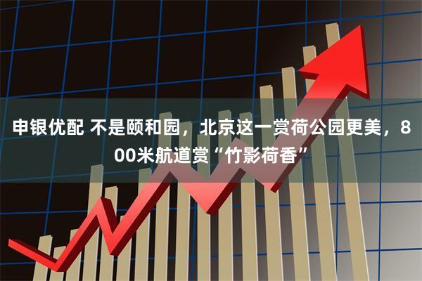 申银优配 不是颐和园，北京这一赏荷公园更美，800米航道赏“竹影荷香”
