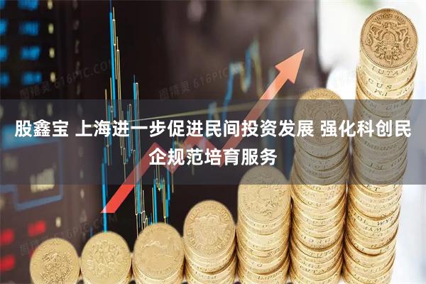 股鑫宝 上海进一步促进民间投资发展 强化科创民企规范培育服务